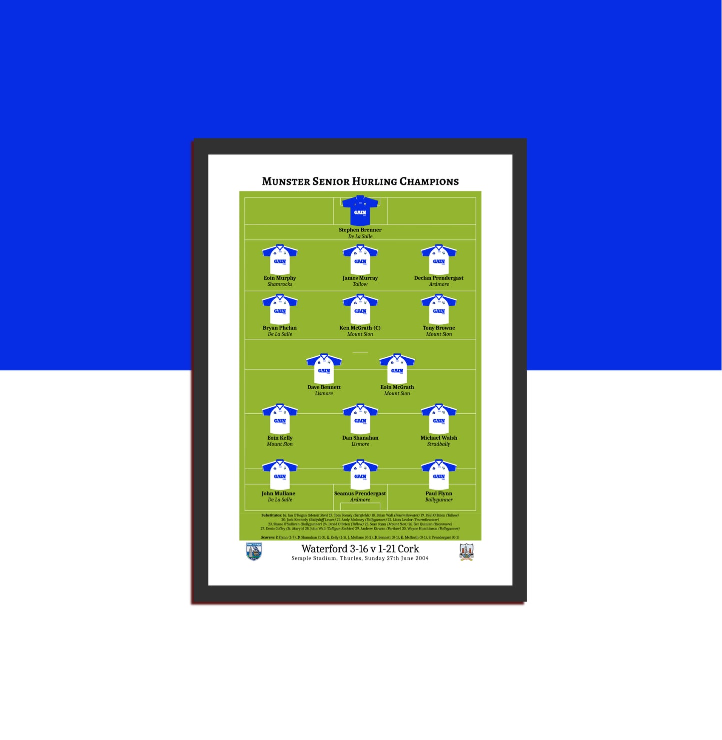 Waterford 2004 Munster Hurling Champions