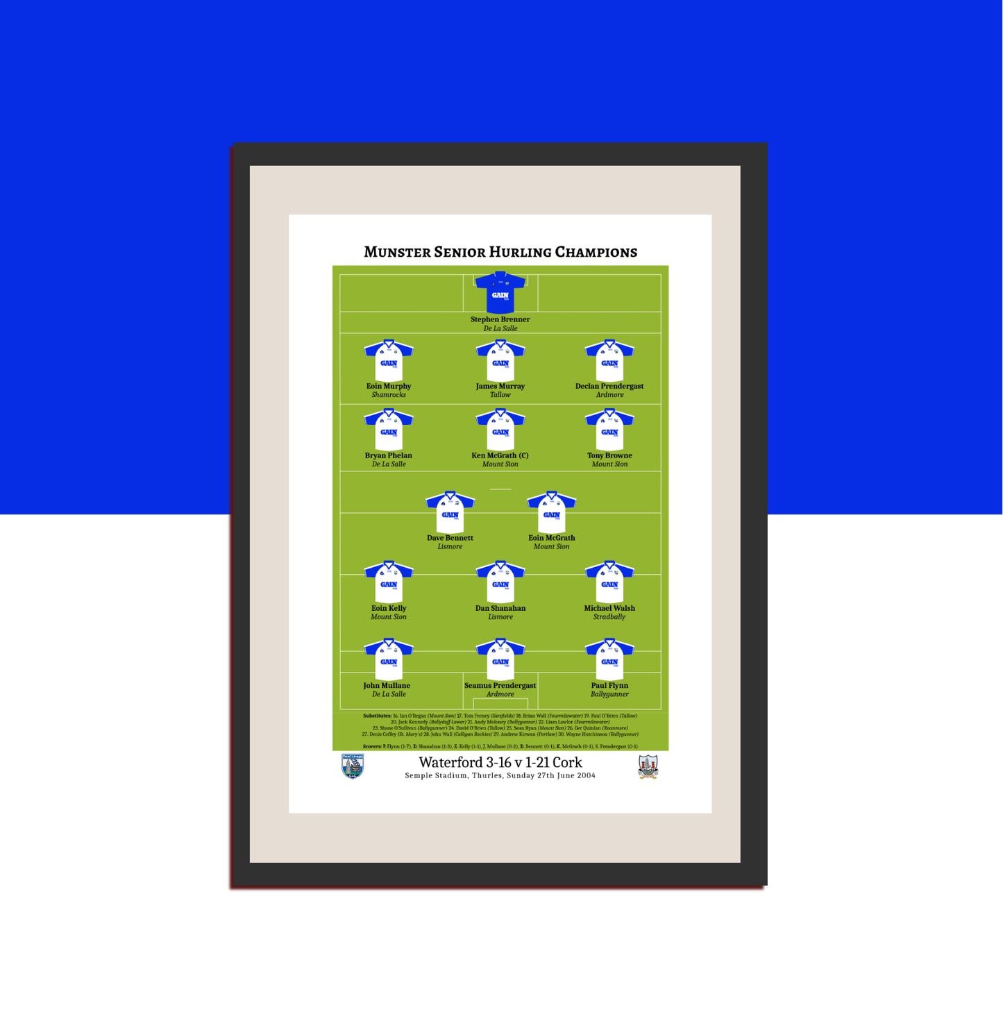 Waterford 2004 Munster Hurling Champions