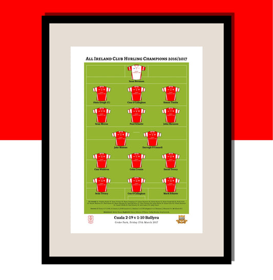 Cuala 2016/2017 All Ireland Club Hurling Champions