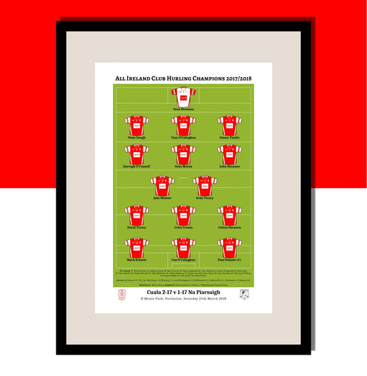 Cuala 2017/2018 All Ireland Club Hurling Champions