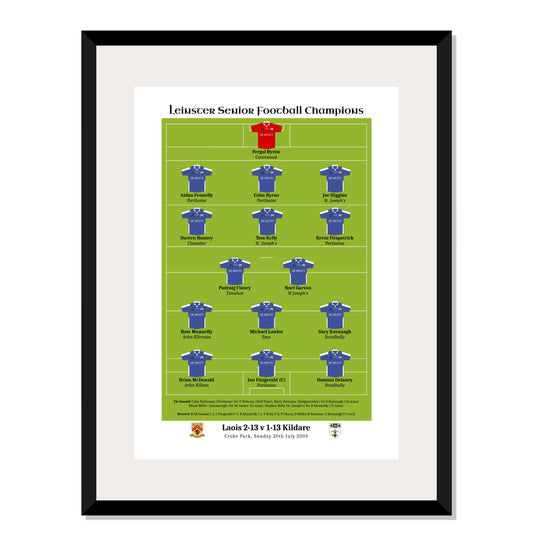 Laois 2003 Leinster Champions