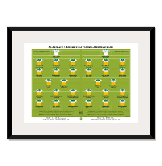 Offaly 2021 U20 Leinster & All Ireland Champions