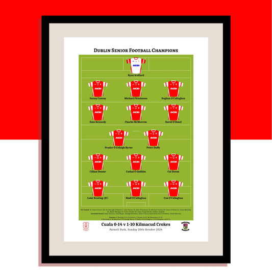 Cuala 2024 Dublin Champions