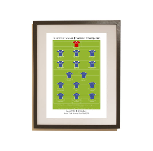Laois 2003 Leinster Champions