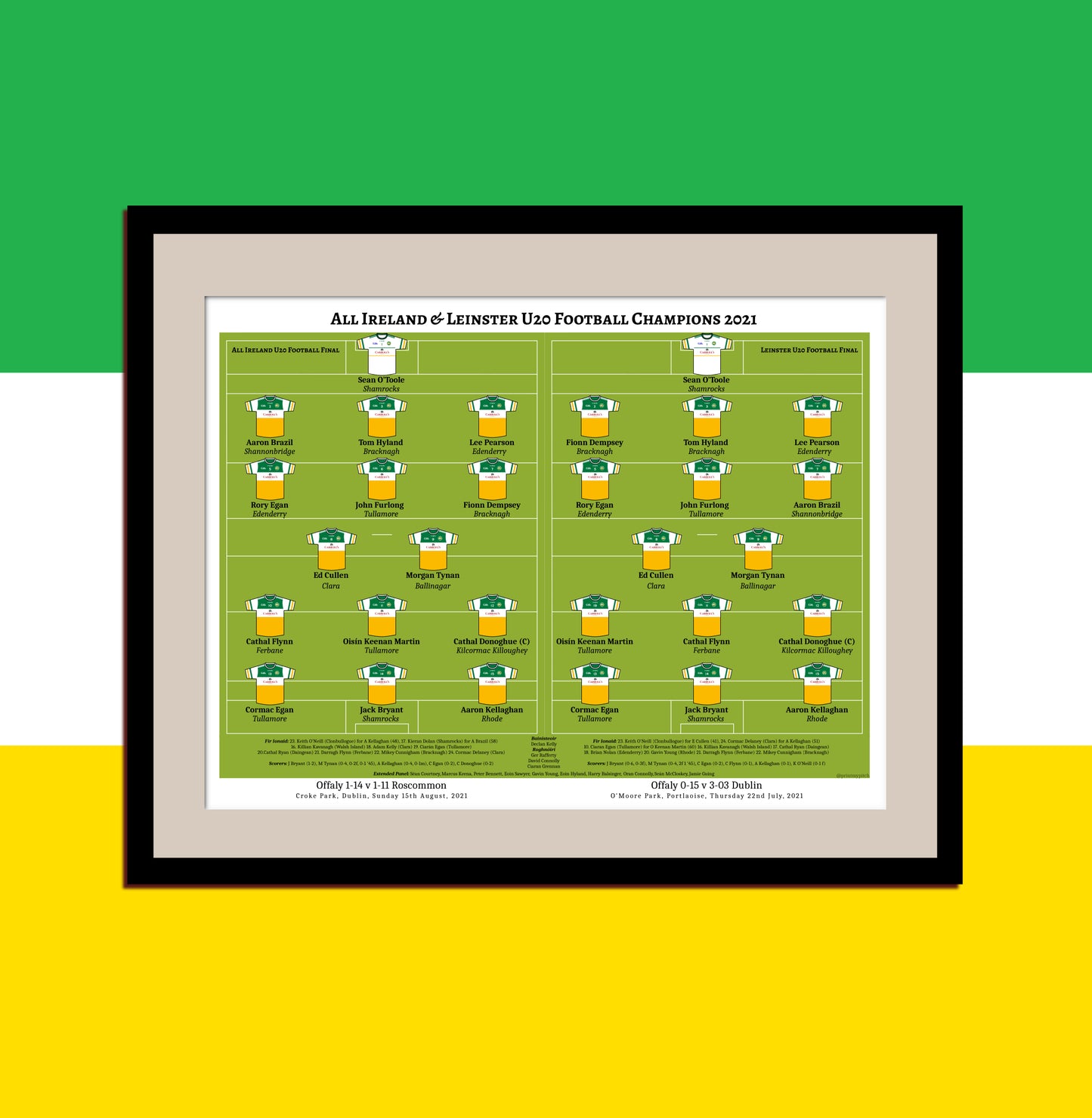 Offaly U20 Leinster & All Ireland Champions
