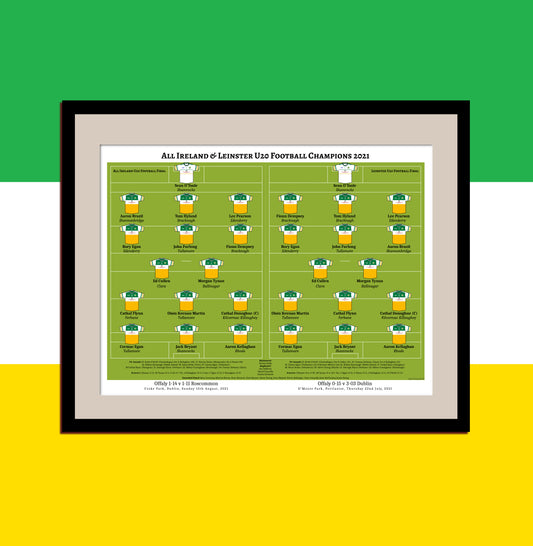 Offaly U20 Leinster & All Ireland Champions
